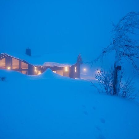 Beerenhaus Villa Altenberg  Dış mekan fotoğraf