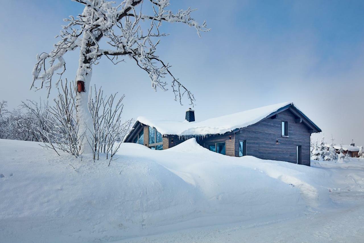 Beerenhaus Villa Altenberg  Dış mekan fotoğraf