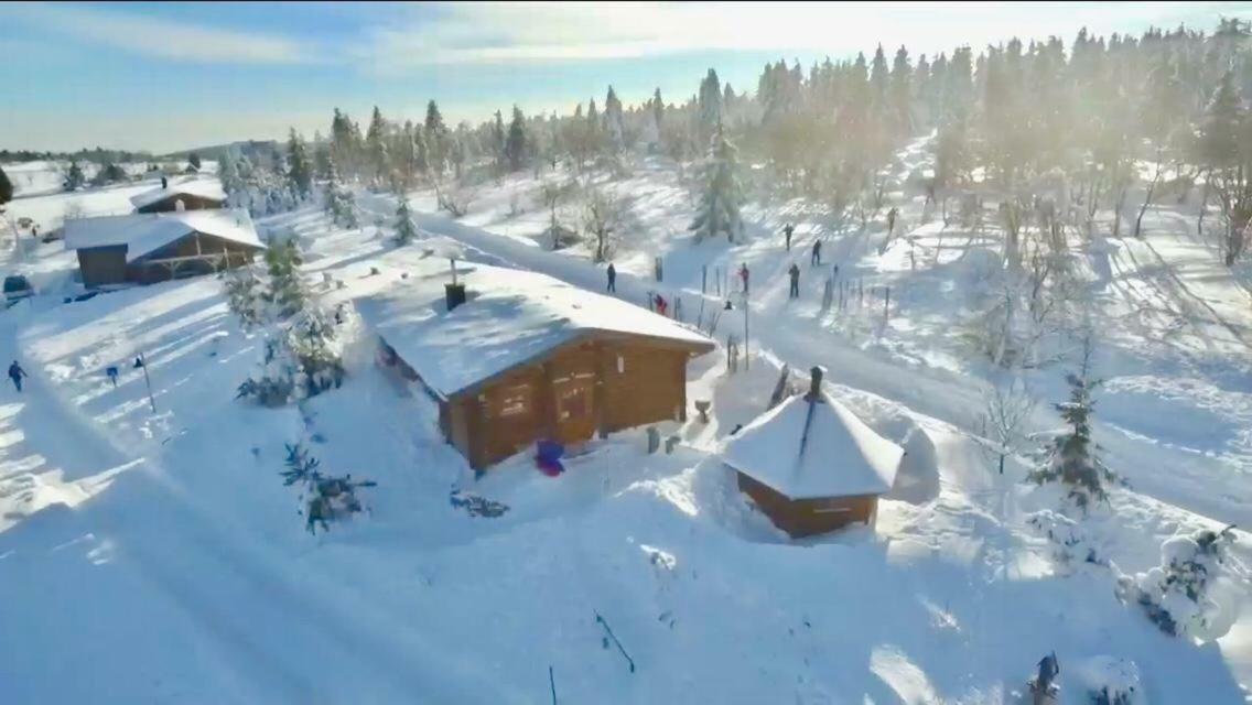 Beerenhaus Villa Altenberg  Dış mekan fotoğraf