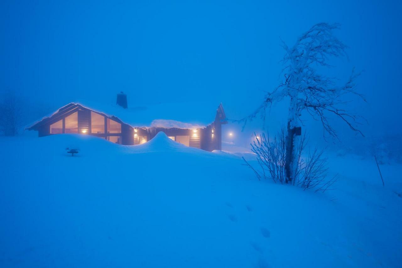Beerenhaus Villa Altenberg  Dış mekan fotoğraf