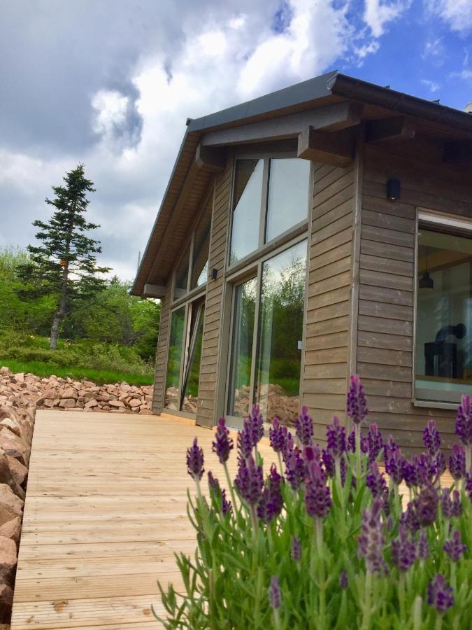 Beerenhaus Villa Altenberg  Dış mekan fotoğraf